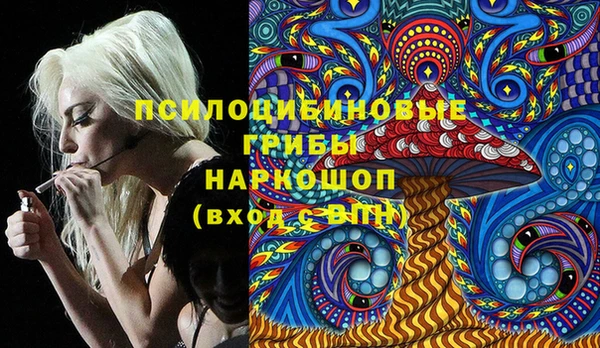 мдпв Алексин