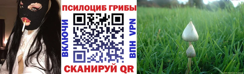 mega как зайти  где найти наркотики  Клин  Галлюциногенные грибы прущие грибы 