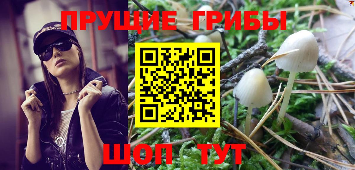 Клин  Галлюциногенные грибы MAGIC MUSHROOMS  Вход с VPN 